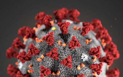 How SARS-CoV-2 Disables the Human Cellular Alarm System