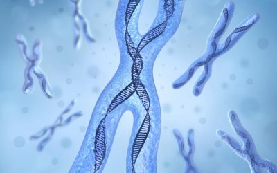 Silencing the X Chromosome